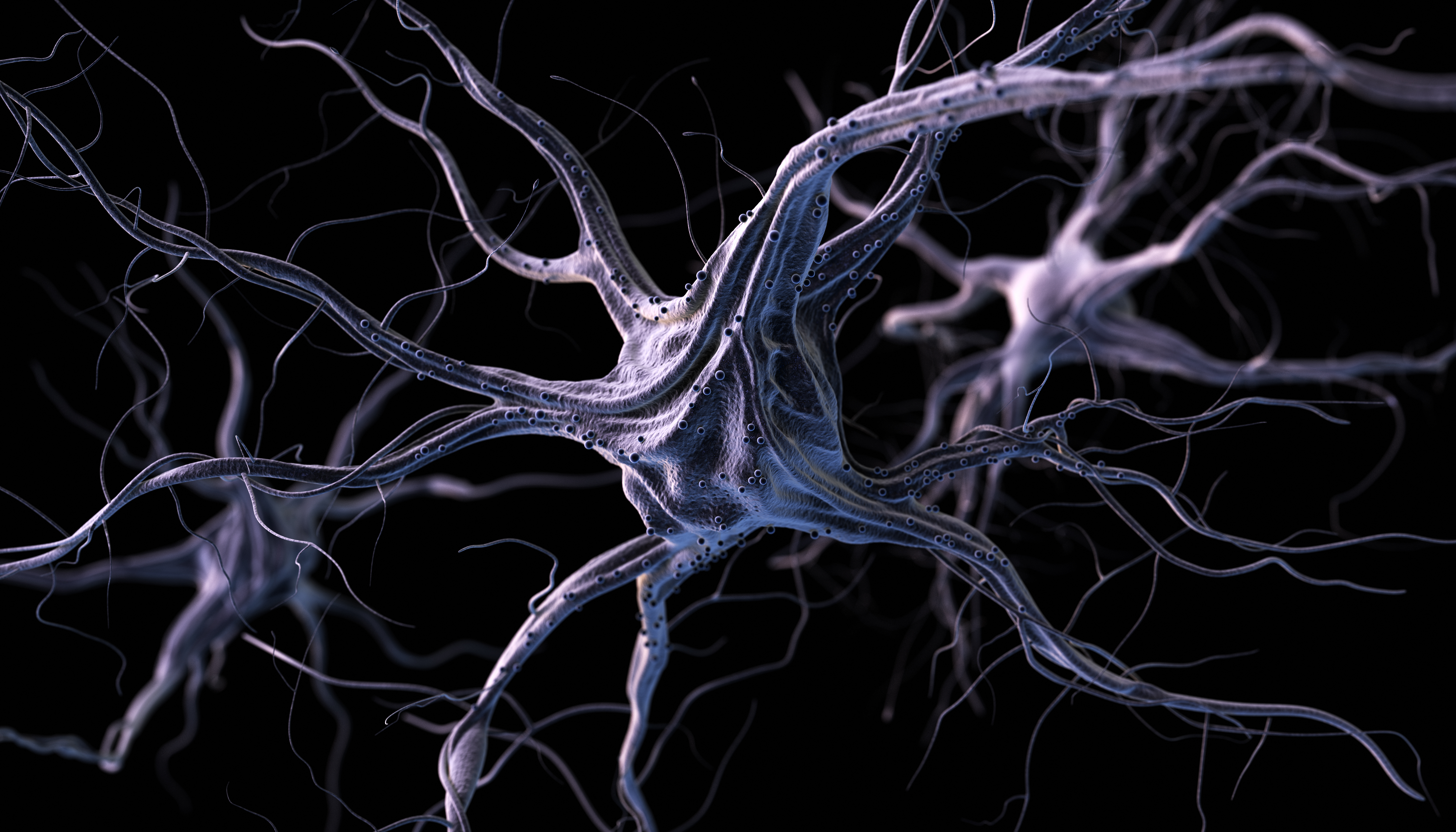 Cognitive Function